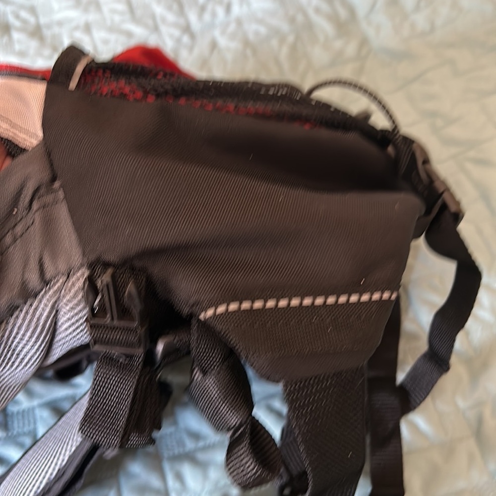 Hiking backpack - Picture 13 of 16